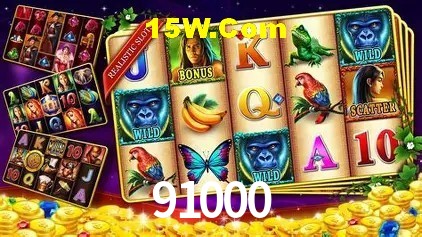 Interface moderna da plataforma 91000